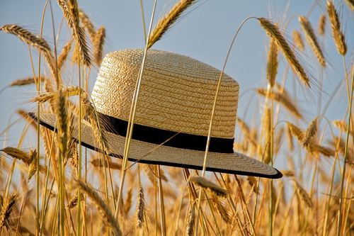 Photo illustrant le mot « chapeau », exemple pour travailler le son [au / eau] au CP.
