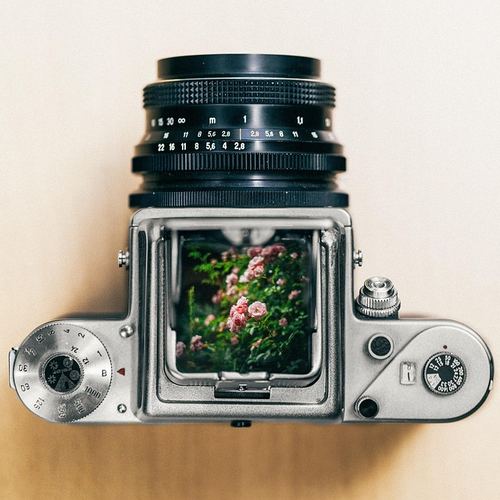 Photo illustrant le mot « photo », exemple pour travailler le son [ph] au CP.