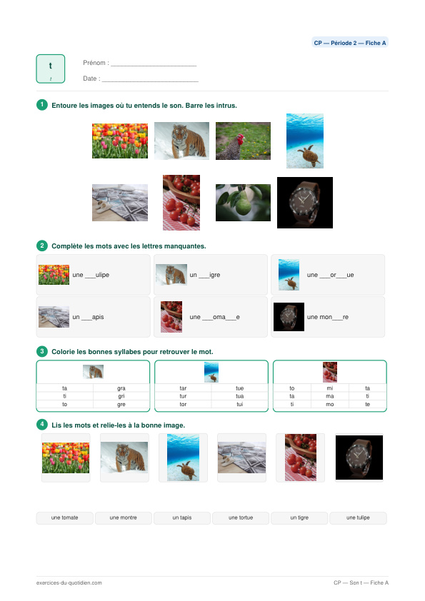 Exercices CP Français — Son t — fiche PDF à imprimer