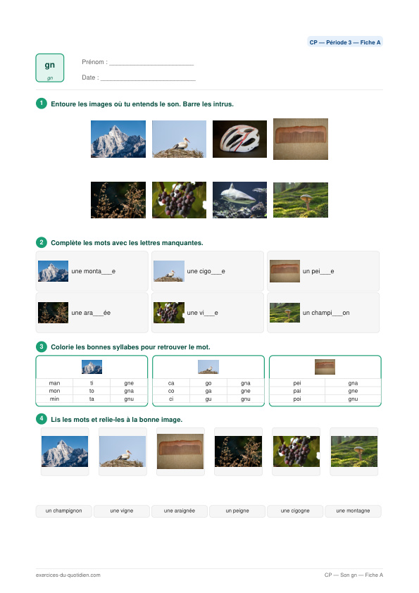 Exercices CP Français — Son gn — fiche PDF à imprimer