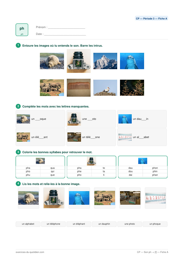 Exercices CP Français — Son ph → [f] — fiche PDF à imprimer