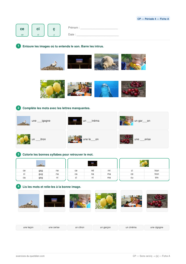 Exercices CP Français — Sons ce / ci → s  et  ç — fiche PDF à imprimer
