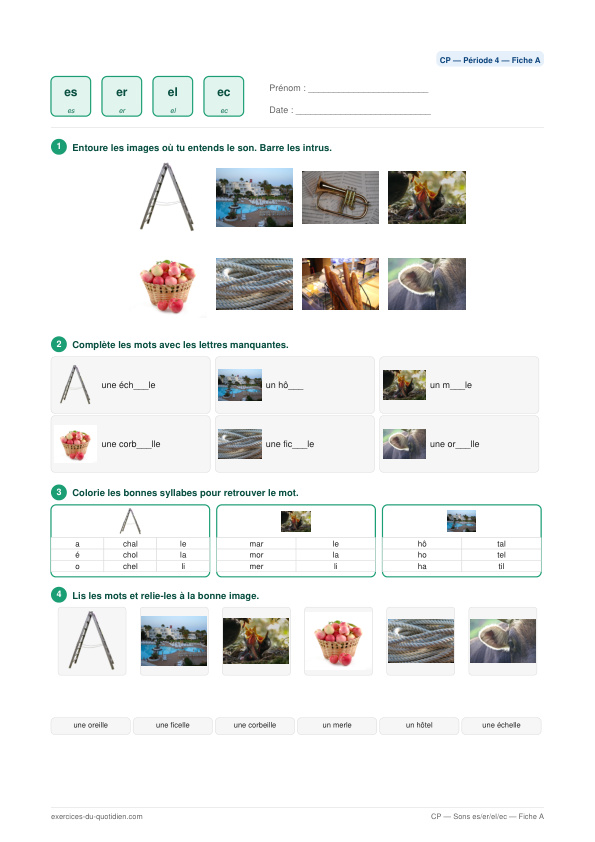Exercices CP Français — Finales es / er / el / ec — fiche PDF à imprimer