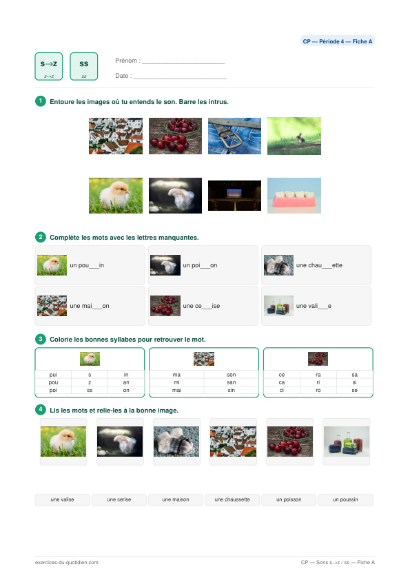 Exercices CP Français — Sons s → [z]  et  ss → [s] — fiche PDF à imprimer